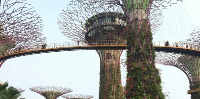 Elevated view of OCBC Skyway and Supertree Grove at Gardens by the Bay, a popular landmark in Singapore., tags: und - pexel